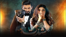 Shiddat - Episode 24 - 23rd April 2024